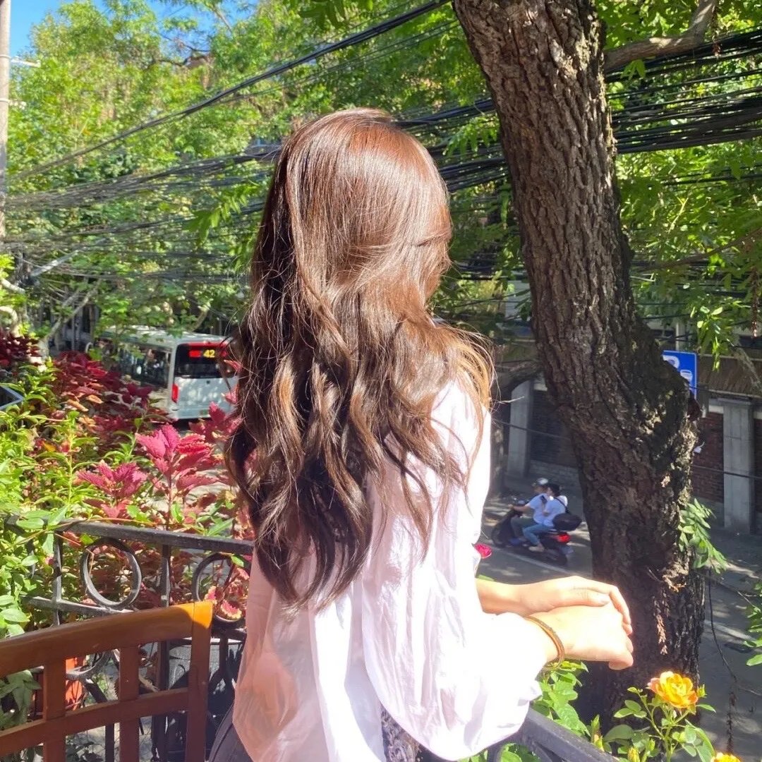 师声对决 在线观看