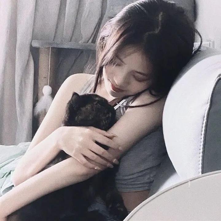 太极熊猫 在线观看